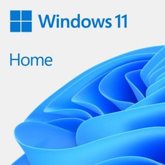 MICROSOFT Windows 11 Home 64-bit CZ OEM česká krabicová verze