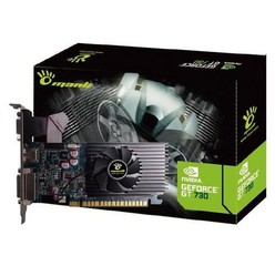 MANLI VGA GeForce GT 730 2GB GDDR3