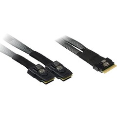 INTER-TECH kabel (SFF-8654 8i) Slim SAS na 2x (SFF-8087) Mini-SAS, 0,75m